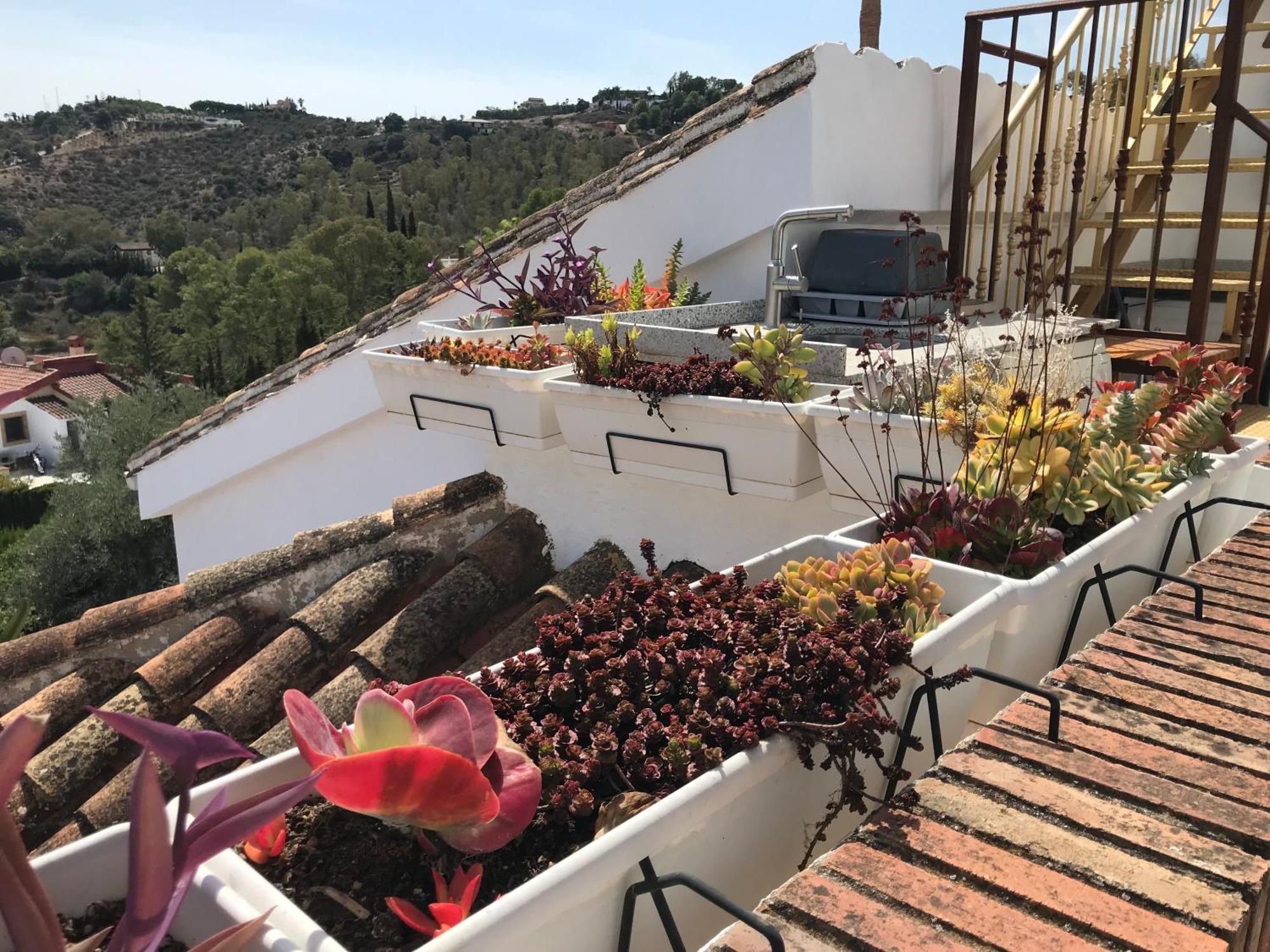 Studio Views Apartment, Cortijo Fruitful Hills Málaga Esterno foto